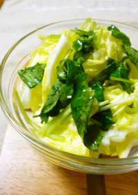 オリーブオイルと塩de白菜サラダ
