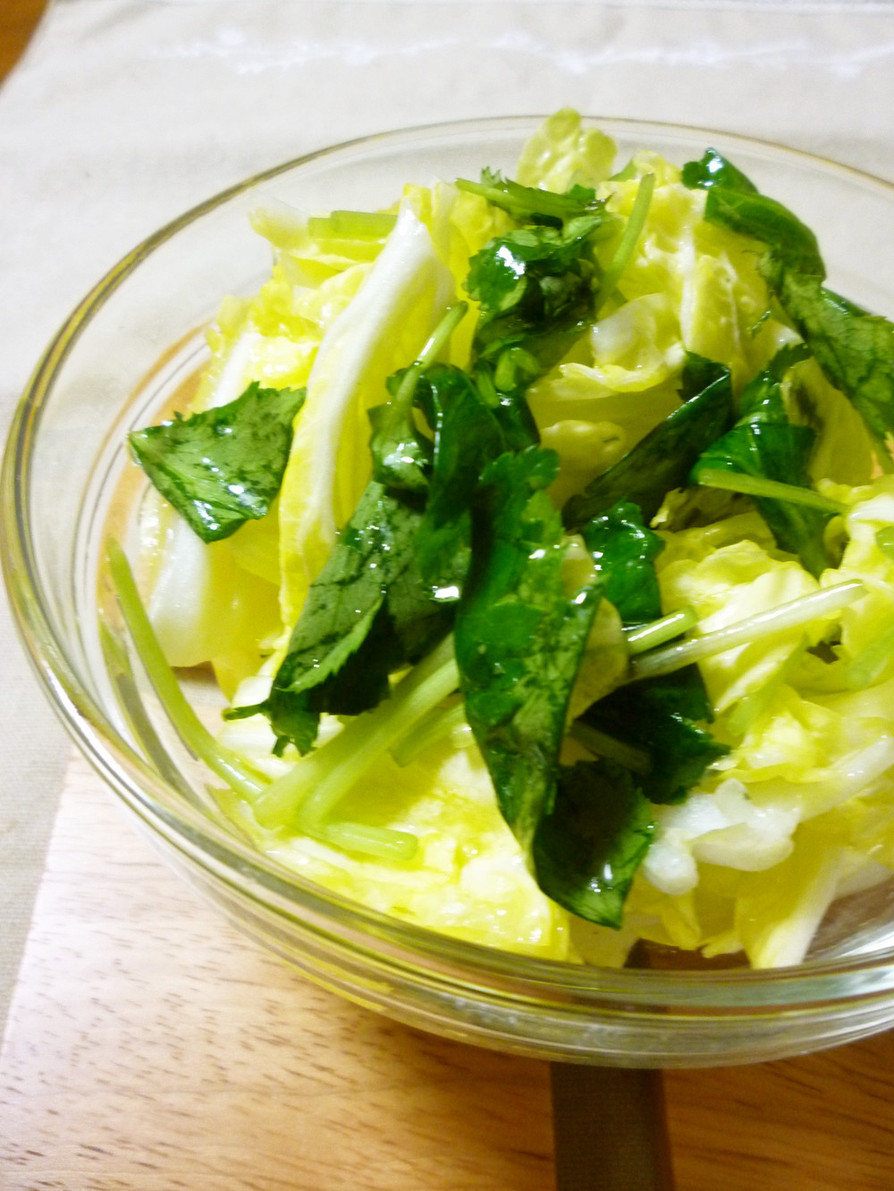 オリーブオイルと塩de白菜サラダの画像