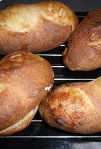 自家製酵母ミニフランスパン
