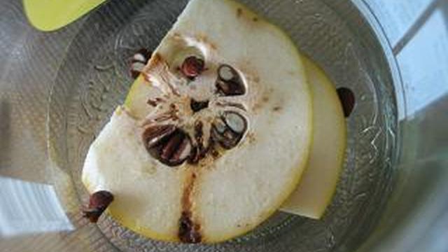 かりんのはちみつ漬け レシピ 作り方 By Mmchopin クックパッド 簡単おいしいみんなのレシピが357万品