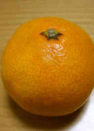 みんなが作ってる みかんの白い筋のレシピ クックパッド 簡単おいしいみんなのレシピが361万品