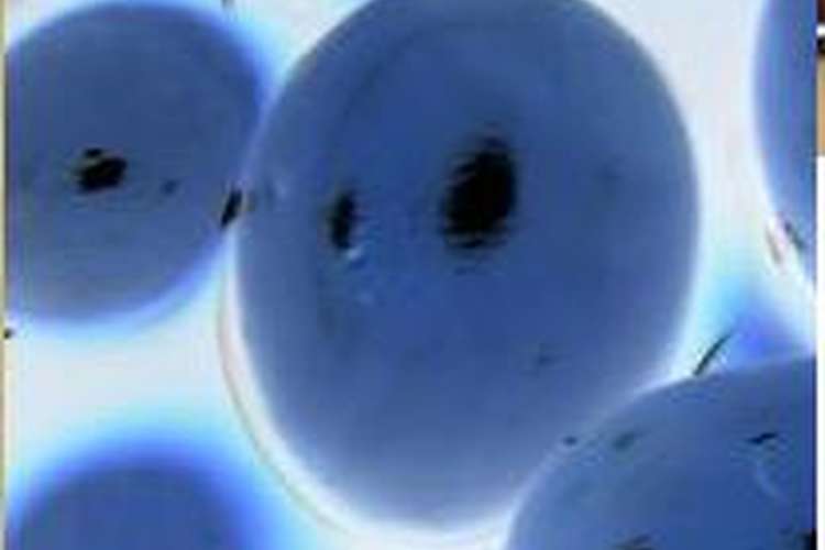 魔界メニュー 煮たまごもどき レシピ 作り方 By 魔王６６６号 クックパッド 簡単おいしいみんなのレシピが355万品