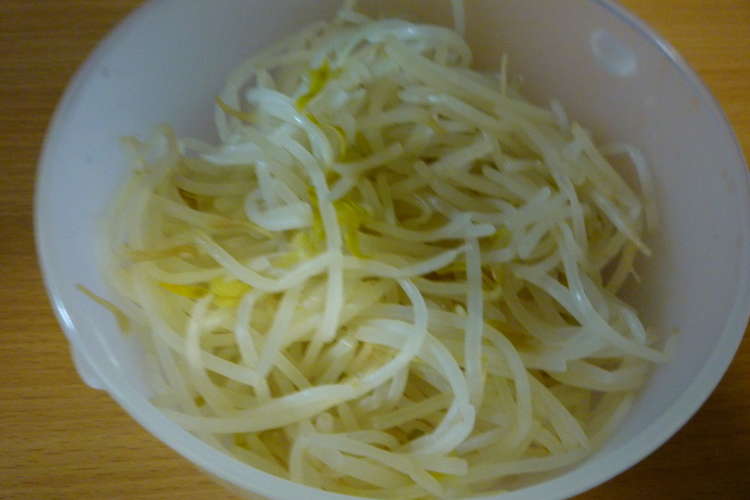 水なしで４分でできるモヤシの茹で方 レシピ 作り方 By メタボ クックパッド 簡単おいしいみんなのレシピが352万品