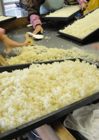 米麹の作り方