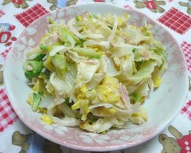 白菜とツナのマヨポンサラダの写真