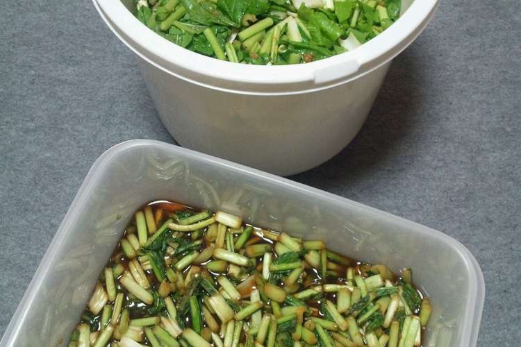 キムチ風味の野沢菜漬け レシピ 作り方 By ゆーちゃき クックパッド 簡単おいしいみんなのレシピが352万品