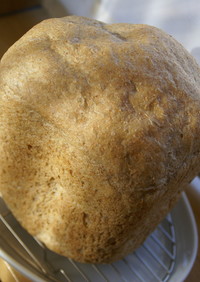 全粒粉100％パン（ＨＢ）