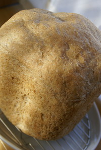 全粒粉100％パン（ＨＢ）