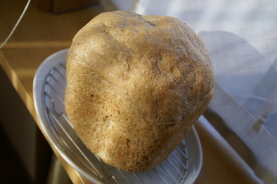 全粒粉100％パン（ＨＢ）の写真