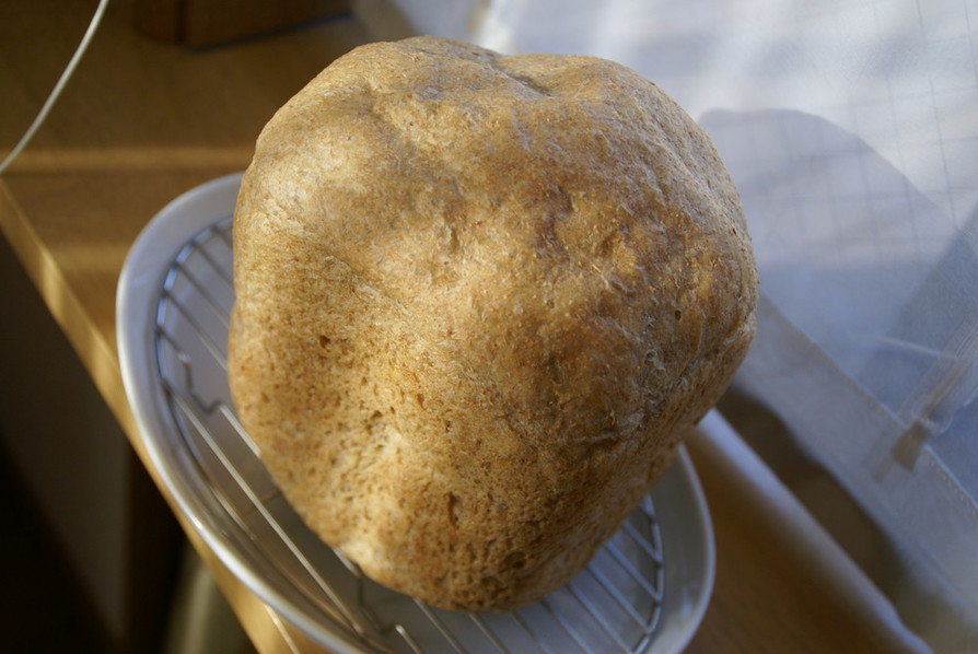 全粒粉100％パン（ＨＢ）の画像