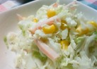 白菜でサッパリ☆コールスローサラダ