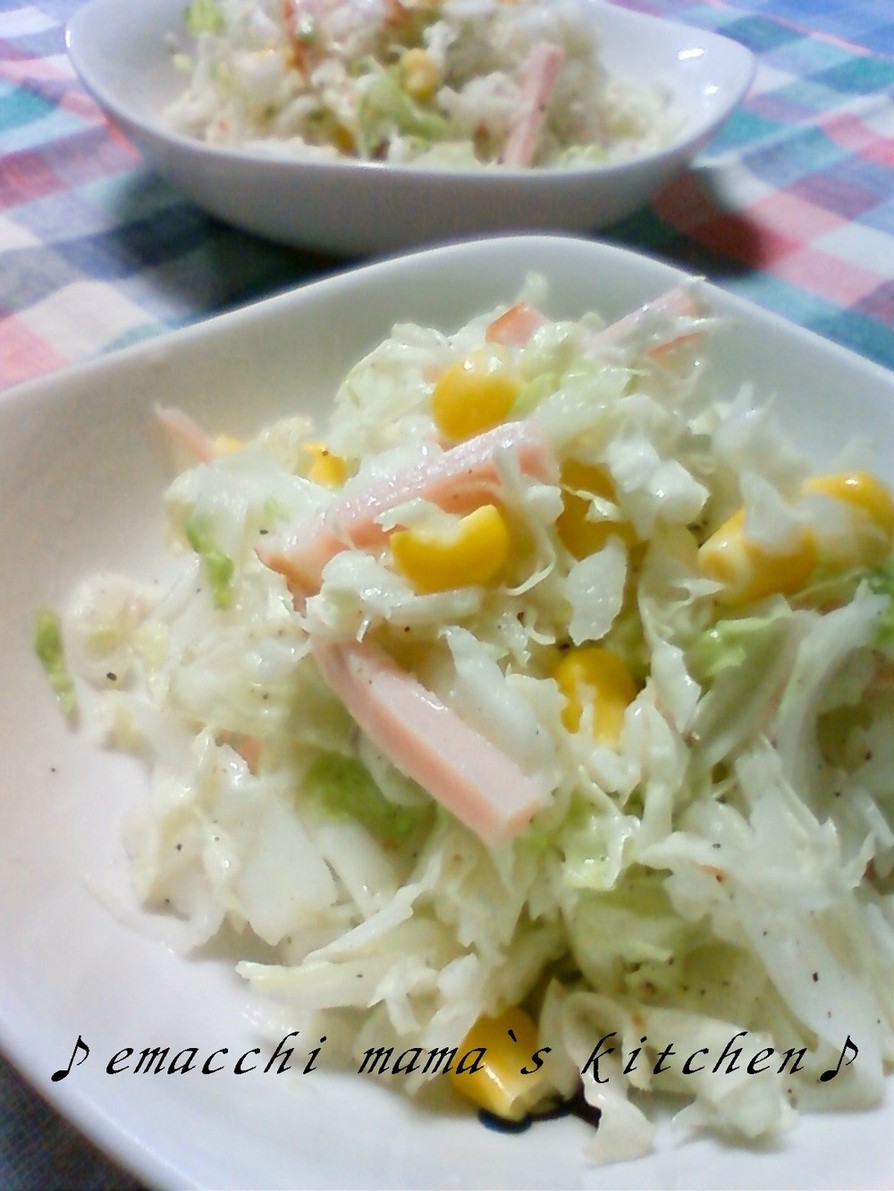 白菜でサッパリ☆コールスローサラダの画像