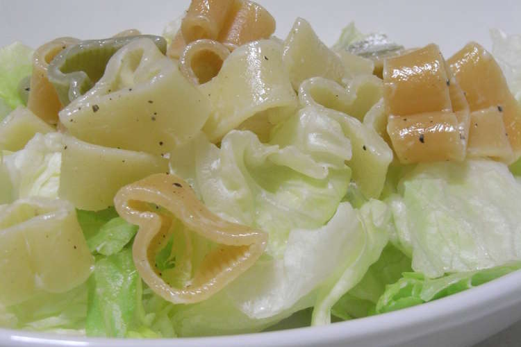 超シンプル レタスとマカロニだけのサラダ レシピ 作り方 By 海老マヨネーズ クックパッド 簡単おいしいみんなのレシピが352万品
