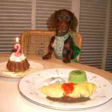 みんなが作ってる 犬 誕生日ごはんのレシピ クックパッド 簡単おいしいみんなのレシピが361万品