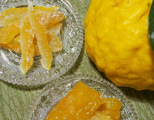 みんなが作ってる 獅子柚子ピールのレシピ クックパッド 簡単おいしいみんなのレシピが359万品