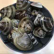 みんなが作ってる 蛤 冷凍のレシピ クックパッド 簡単おいしいみんなのレシピが361万品