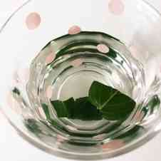 みんなが作ってる アイスミントティーのレシピ クックパッド 簡単おいしいみんなのレシピが359万品