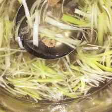 みんなが作ってる テール スープのレシピ クックパッド 簡単おいしいみんなのレシピが359万品