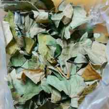 みんなが作ってる どくだみ茶のレシピ クックパッド 簡単おいしいみんなのレシピが358万品