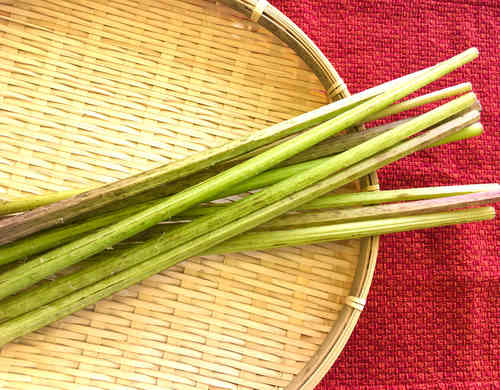みんなが作ってる 山菜ふきのレシピ クックパッド 簡単おいしいみんなのレシピが357万品