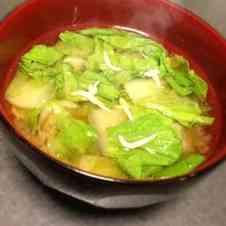 みんなが作ってる しらす みそ汁のレシピ クックパッド 簡単おいしいみんなのレシピが354万品