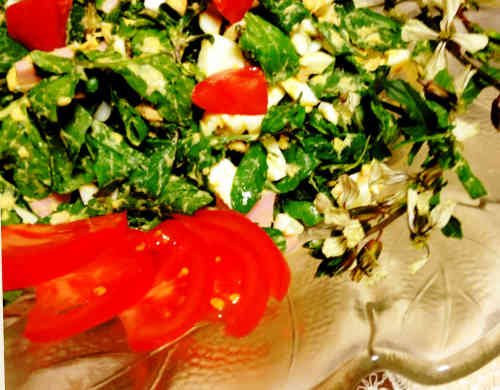 みんなが作ってる ルッコラ 花のレシピ クックパッド 簡単おいしいみんなのレシピが357万品