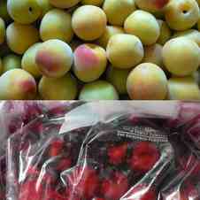 みんなが作ってる 大葉 保存 ジップロックのレシピ クックパッド 簡単おいしいみんなのレシピが351万品