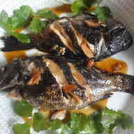 みんなが作ってる 黒鯛 煮付けのレシピ クックパッド 簡単おいしいみんなのレシピが356万品