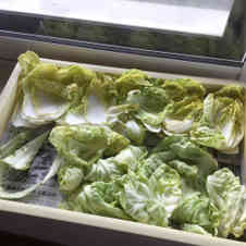 みんなが作ってる お弁当に入れる野菜のレシピ クックパッド 簡単おいしいみんなのレシピが360万品