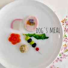 みんなが作ってる 犬 お節のレシピ クックパッド 簡単おいしいみんなのレシピが360万品