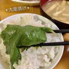 みんなが作ってる 大葉 ごま油 大量消費のレシピ クックパッド 簡単おいしいみんなのレシピが351万品