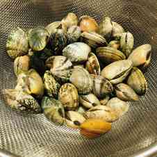 みんなが作ってる あさりの下処理のレシピ クックパッド 簡単おいしいみんなのレシピが359万品