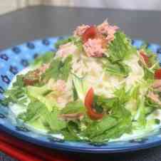 みんなが作ってる 素麺 つけだれ トマト ツナのレシピ クックパッド 簡単おいしいみんなのレシピが354万品