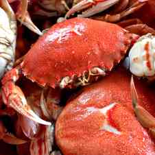 みんなが作ってる 渡り蟹のレシピ クックパッド 簡単おいしいみんなのレシピが361万品