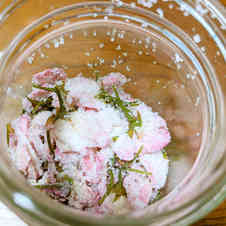みんなが作ってる 桜の塩漬け 作り方のレシピ クックパッド 簡単おいしいみんなのレシピが358万品