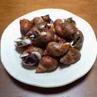 みんなが作ってる バイ貝 煮付けのレシピ クックパッド 簡単おいしいみんなのレシピが363万品