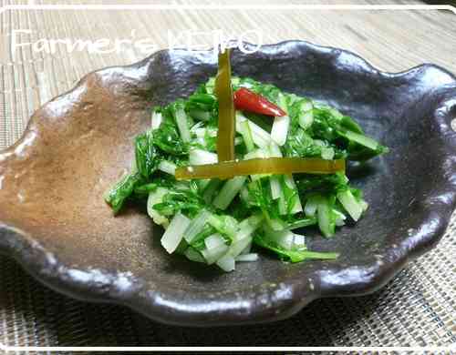 みんなが作ってる 京菜の漬物のレシピ クックパッド 簡単おいしいみんなのレシピが355万品