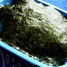 みんなが作ってる のり弁 海苔 しょうゆのレシピ クックパッド 簡単おいしいみんなのレシピが352万品