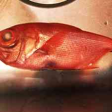 みんなが作ってる 魚 ベラのレシピ クックパッド 簡単おいしいみんなのレシピが340万品