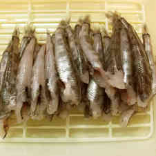 みんなが作ってる めひかりのレシピ クックパッド 簡単おいしいみんなのレシピが353万品