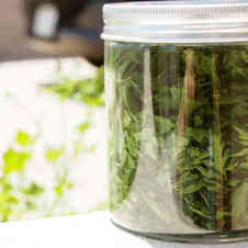 みんなが作ってる イタリアンパセリ 保存のレシピ クックパッド 簡単おいしいみんなのレシピが358万品