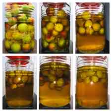 みんなが作ってる 梅酒 黒糖 はちみつのレシピ クックパッド 簡単おいしいみんなのレシピが357万品