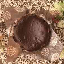 みんなが作ってる ほうじ茶 チーズケーキのレシピ クックパッド 簡単おいしいみんなのレシピが348万品