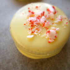 みんなが作ってる ペパーミントのレシピ クックパッド 簡単おいしいみんなのレシピが359万品