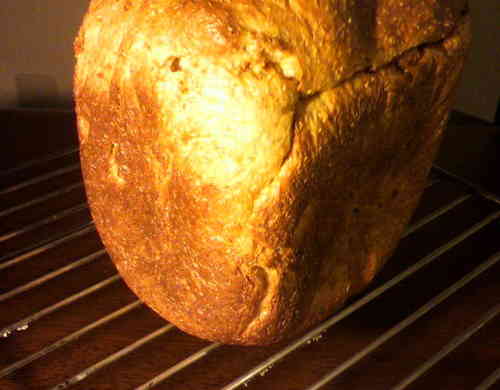 みんなが作ってる 小麦グルテン ふすまのレシピ クックパッド 簡単おいしいみんなのレシピが356万品