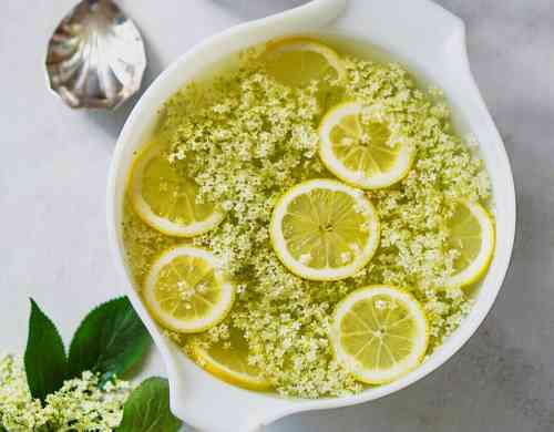 みんなが作ってる エルダーフラワーのレシピ クックパッド 簡単おいしいみんなのレシピが357万品