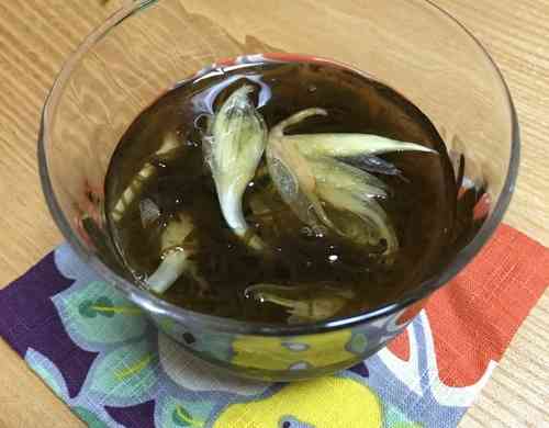 みんなが作ってる みょうがの花のレシピ クックパッド 簡単おいしいみんなのレシピが356万品