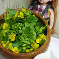 みんなが作ってる アスパラ菜 花のレシピ クックパッド 簡単おいしいみんなのレシピが364万品