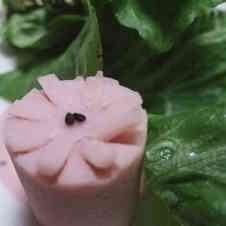 驚くばかり魚肉 ソーセージ 花 最高の花の画像 驚くばかり魚肉 ソーセージ 花 最高の花の画像
