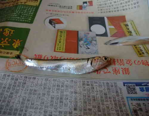 みんなが作ってる 小いわし さばき方のレシピ クックパッド 簡単おいしいみんなのレシピが353万品